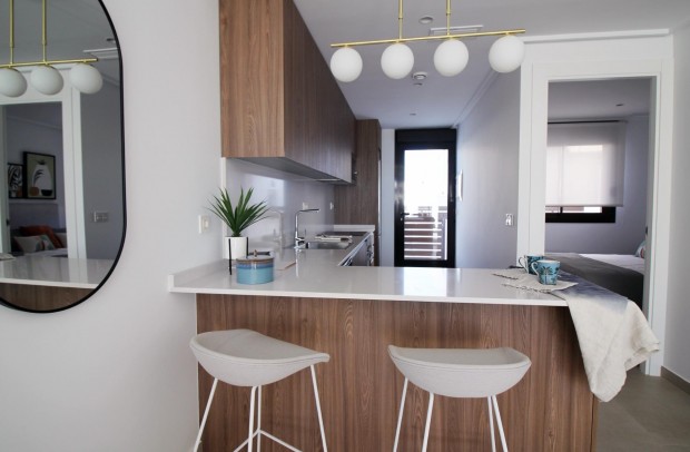 Nouvelle construction - Townhouse - Pilar de la Horadada - parque Andromeda