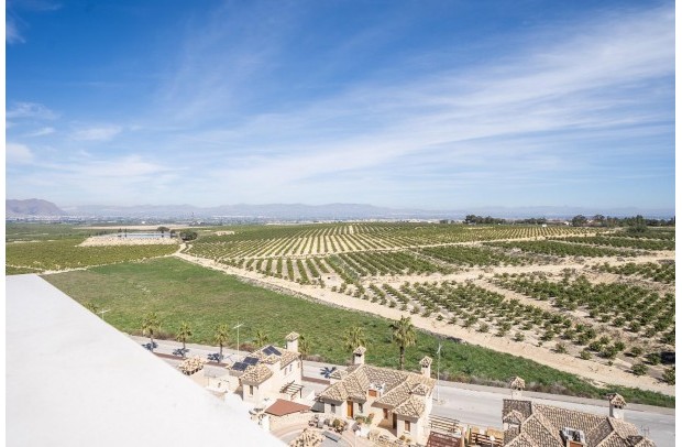 Nueva construcción  - Villa Detached - Algorfa - La Finca Golf Resort