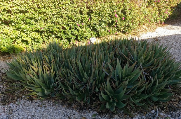 Reventa - Country Property - Orihuela