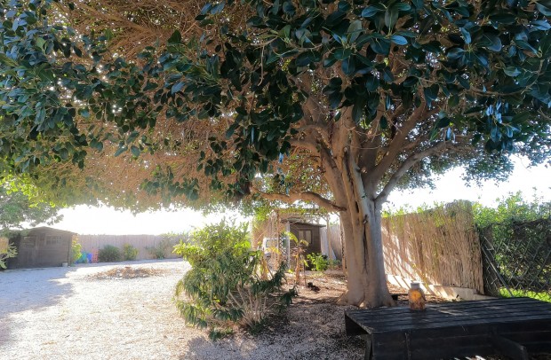 Reventa - Country Property - Orihuela