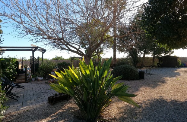 Reventa - Country Property - Orihuela