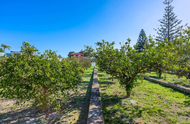 Resale - Country Property - Los Montesinos