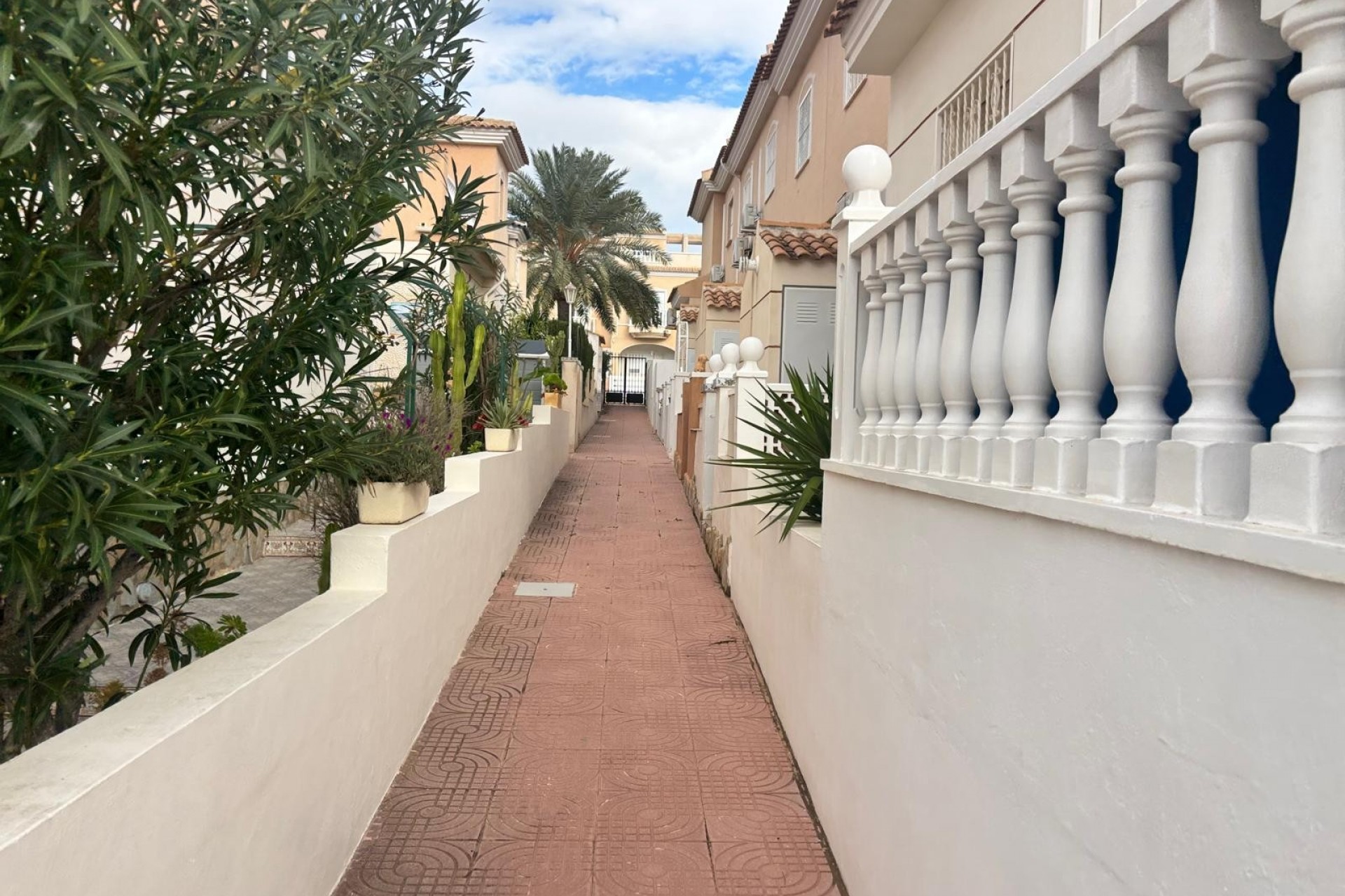 terraced-houses en ciudad-quesada · dona-pepa 164995€