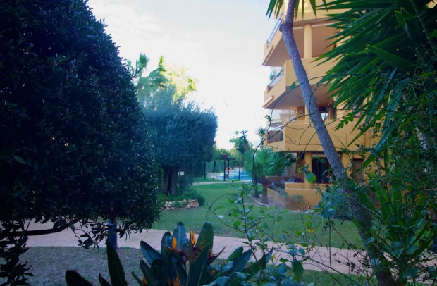 Revente - Apartment - Punta Prima