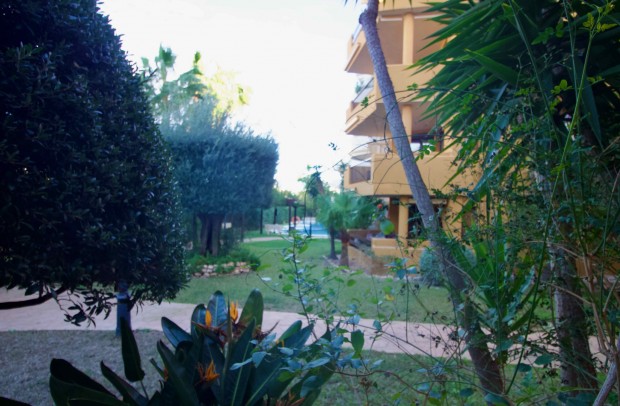 Revente - Apartment - Punta Prima