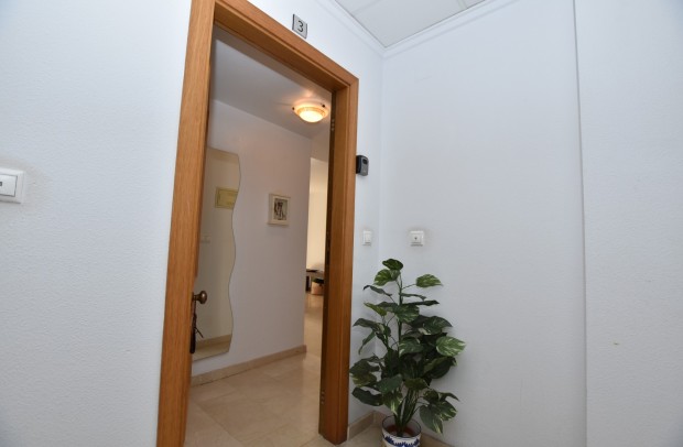Reventa - Apartment - Algorfa
