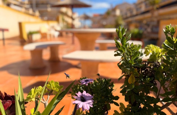 Resale - Townhouse - Playa Flamenca - Costa Blanca