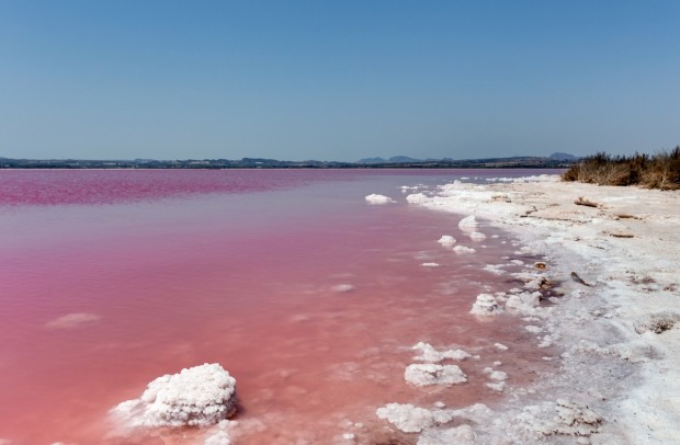 Reventa - Townhouse - Torrevieja - La Torreta