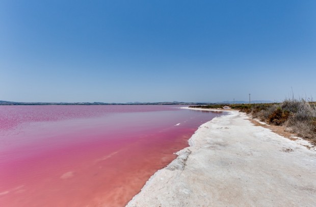 Reventa - Townhouse - Torrevieja - La Torreta