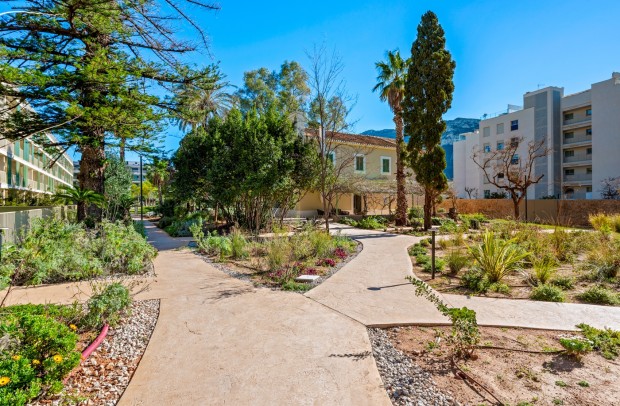 Revente - Apartment - Denia - Puerto