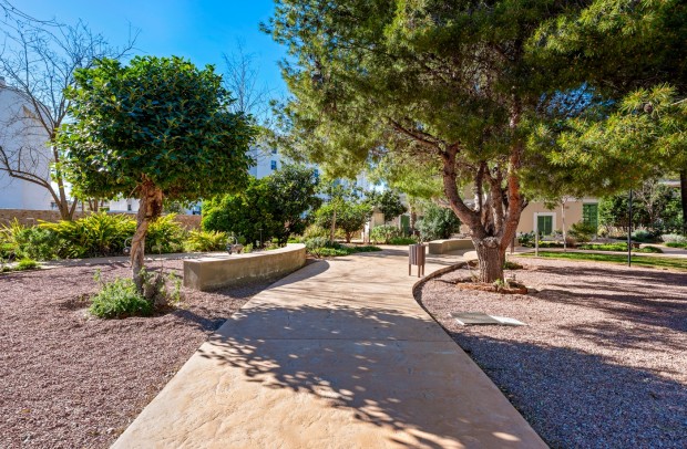 Revente - Apartment - Denia - Puerto