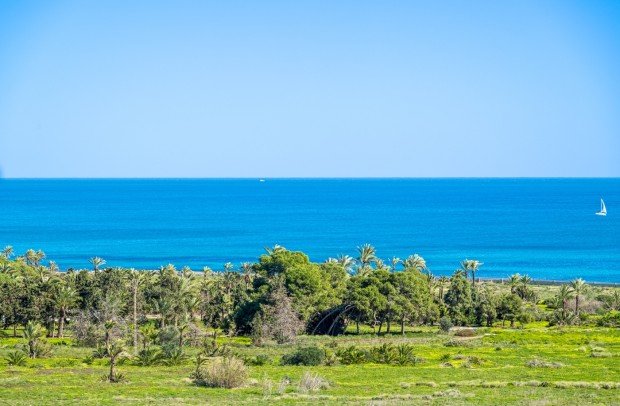 Revente - Apartment - Orihuela Costa - Punta Prima