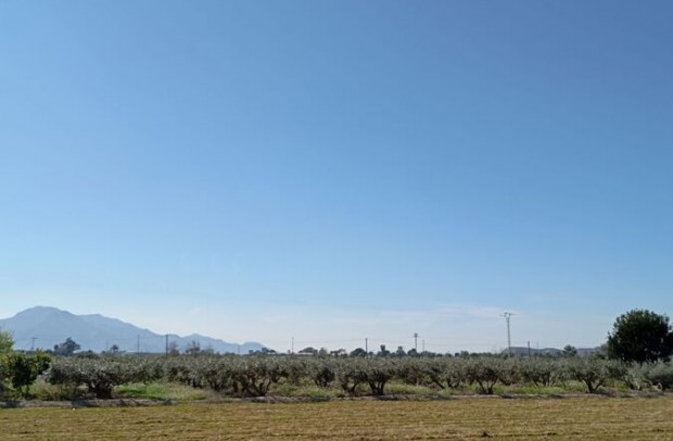 Revente - Townhouse - Catral