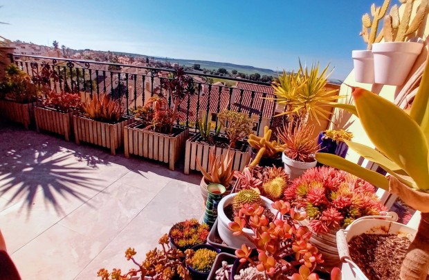 Revente - Townhouse - Algorfa - La Finca Golf Resort