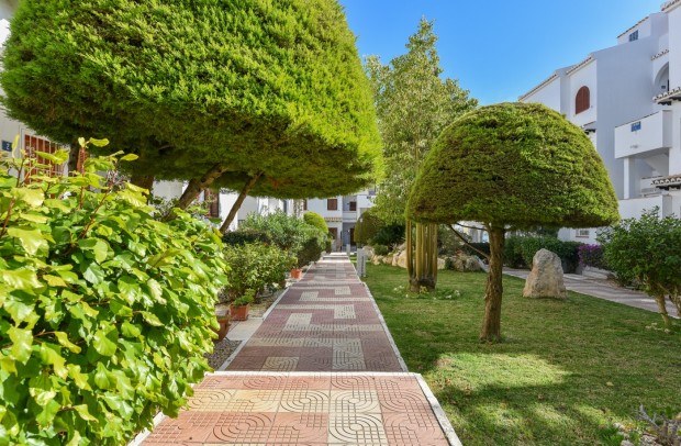 Reventa - Apartment - Ciudad Quesada