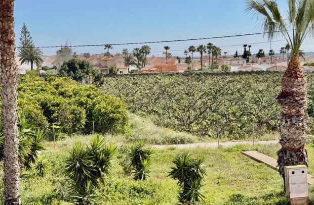 Reventa - Apartment - Ciudad Quesada - Ciudad Quesada - Doña Pepa