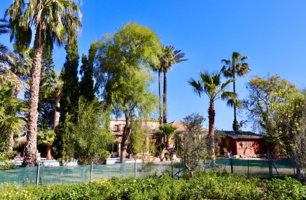 Reventa - Country Property - Ciudad Quesada - Heredades