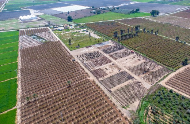 Reventa - Country Property - Albatera