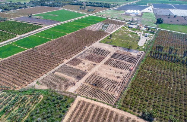 Reventa - Country Property - Albatera