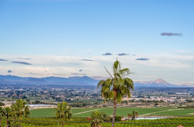 Revente - Villa Detached - Algorfa - Lomas De La Juliana