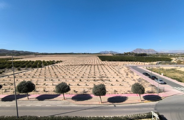 Reventa - Apartment - Algorfa