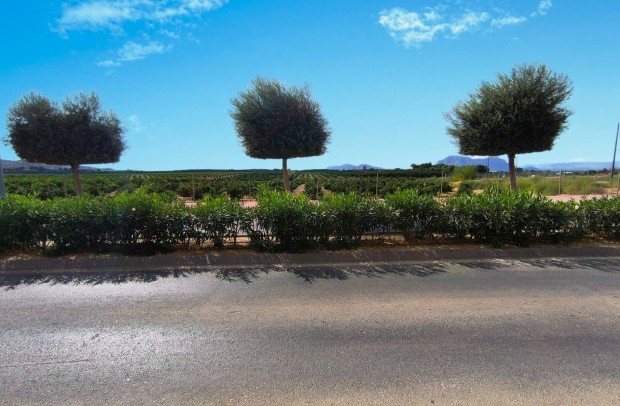 Reventa - Apartment - Algorfa