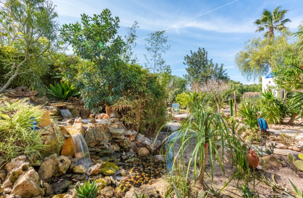 Resale - Country Property - Daya Nueva