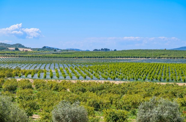 Revente - Apartment - Algorfa - Fontana