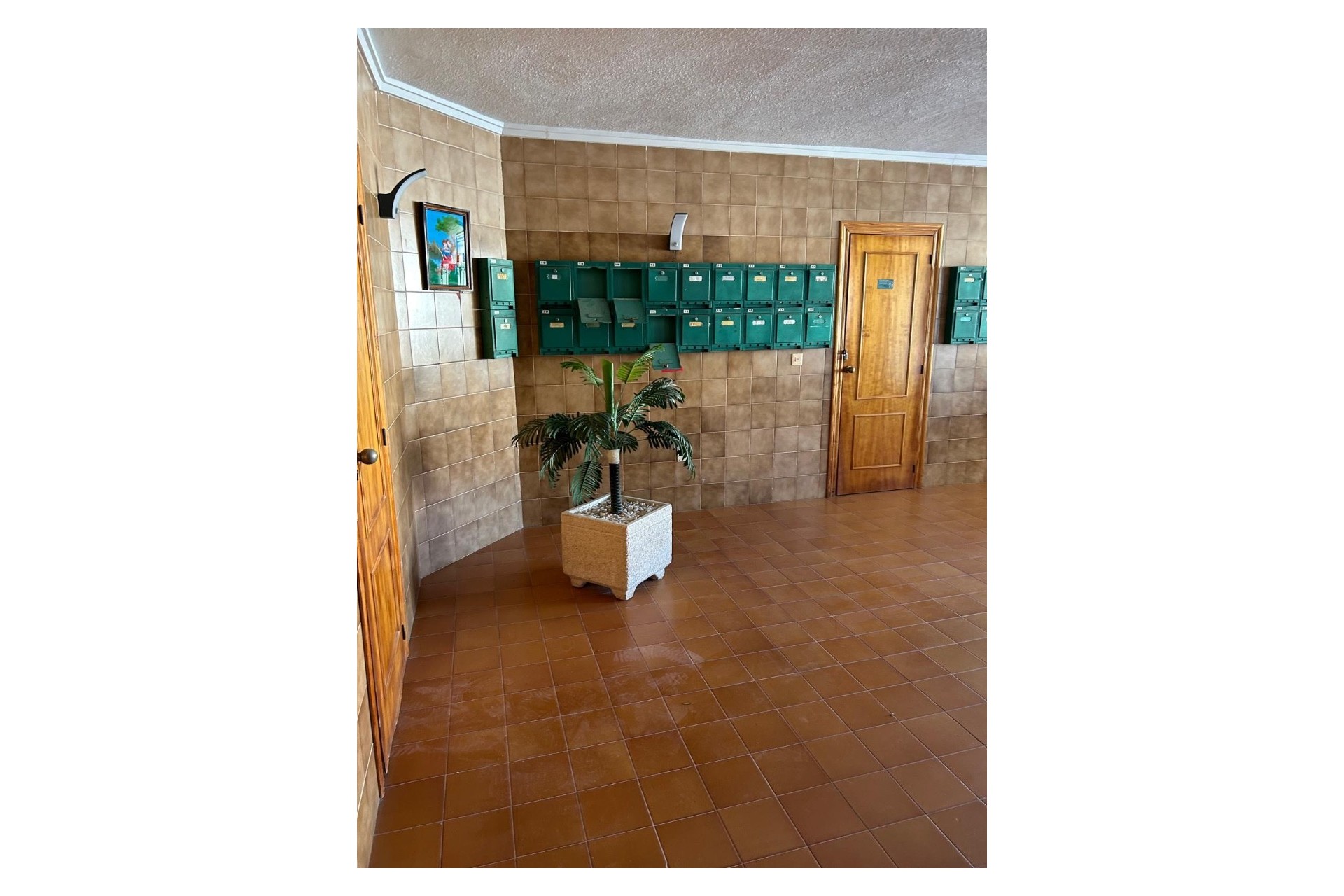 apartment en cabo-roig · cabo-roig 124995€