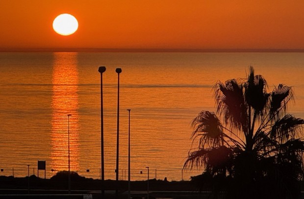 Resale - Apartment - Playa Flamenca