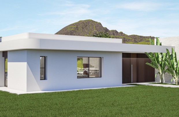 Nouvelle construction - Villa Detached - Pinoso - Lel