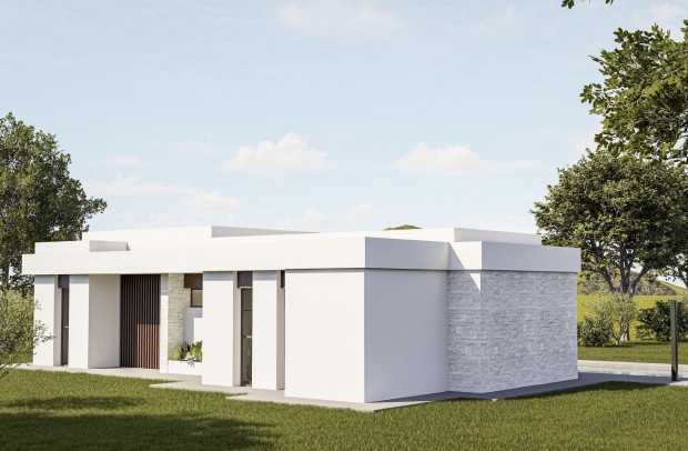 Nouvelle construction - Villa Detached - Pinoso - Lel