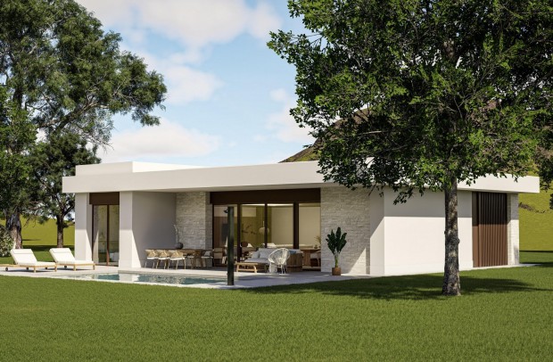 Nouvelle construction - Villa Detached - Pinoso - Lel