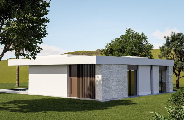 Nouvelle construction - Villa Detached - Pinoso - Lel