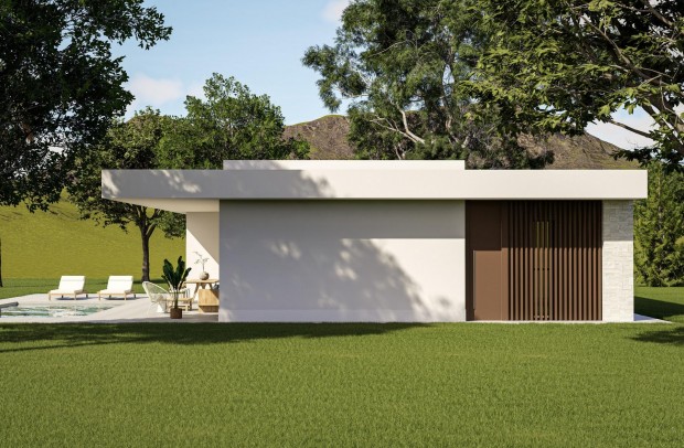 Nouvelle construction - Villa Detached - Pinoso - Lel