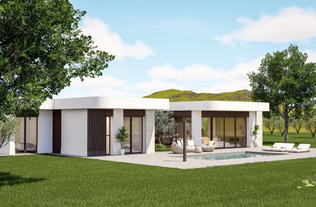 Nouvelle construction - Villa Detached - Pinoso - Lel