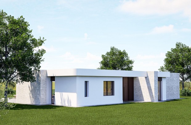 Nouvelle construction - Villa Detached - Pinoso - Lel