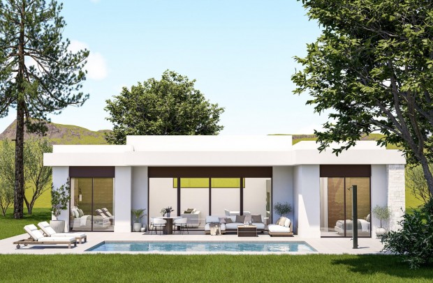Nouvelle construction - Villa Detached - Pinoso - Lel