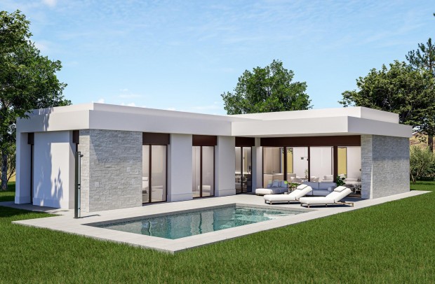 Nouvelle construction - Villa Detached - Pinoso - Lel