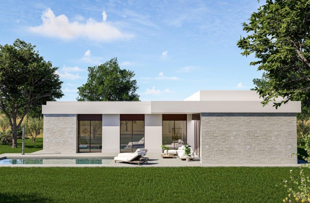 Nouvelle construction - Villa Detached - Pinoso - Lel
