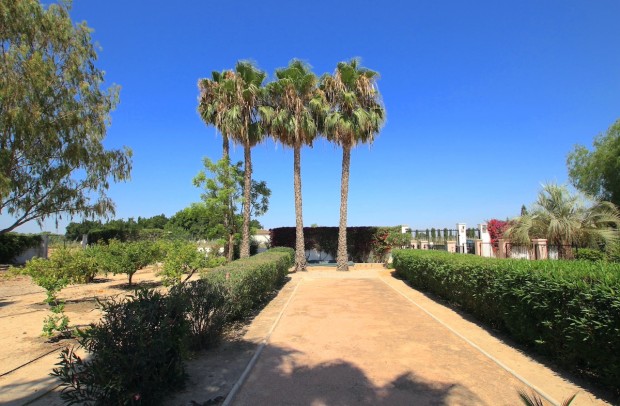 Reventa - Country Property - Daya Vieja
