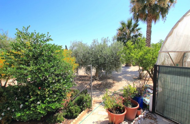 Reventa - Country Property - Daya Vieja
