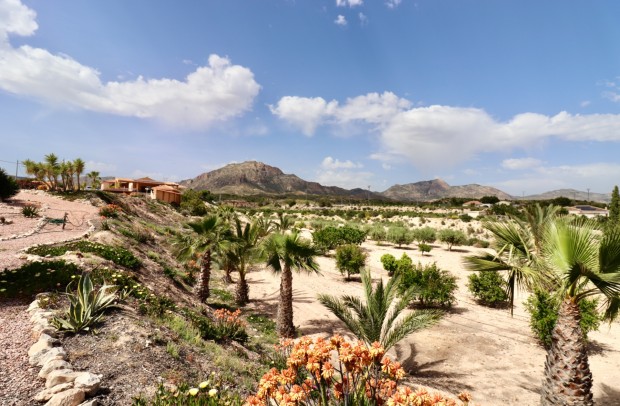 Revente - Country Property - Albatera
