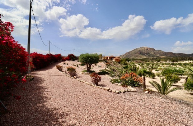 Revente - Country Property - Albatera