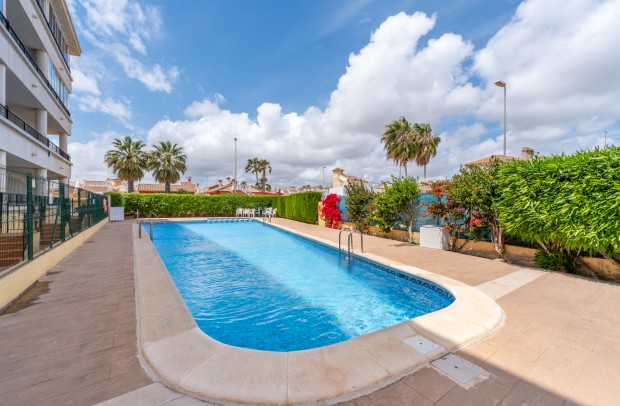 Revente - Apartment - Playa Flamenca - Playa Flamenca Alicante