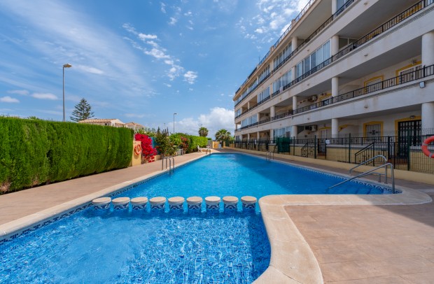 Revente - Apartment - Playa Flamenca - Playa Flamenca Alicante
