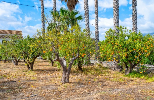 Reventa - Country Property - La Nucía