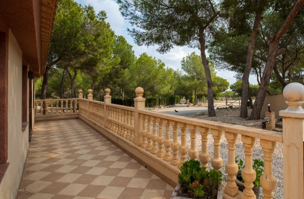Resale - Country Property - Torremendo