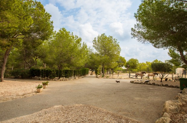 Resale - Country Property - Torremendo