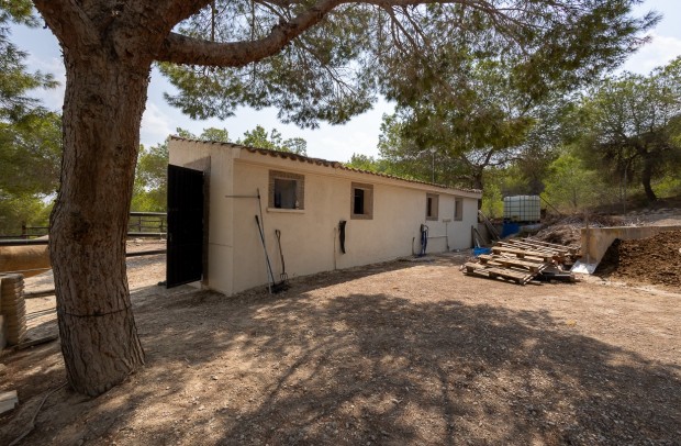 Resale - Country Property - Torremendo